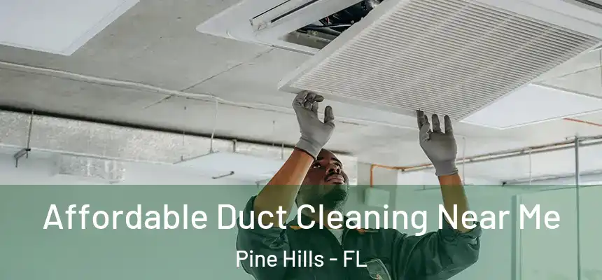 Affordable Duct Cleaning Near Me Pine Hills - FL