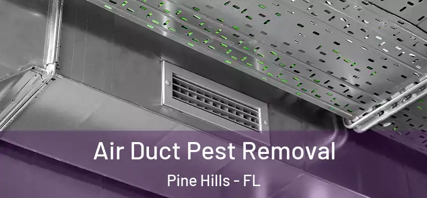 Air Duct Pest Removal Pine Hills - FL