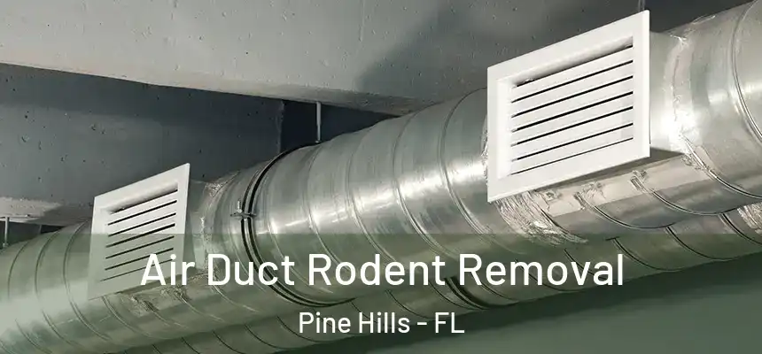 Air Duct Rodent Removal Pine Hills - FL