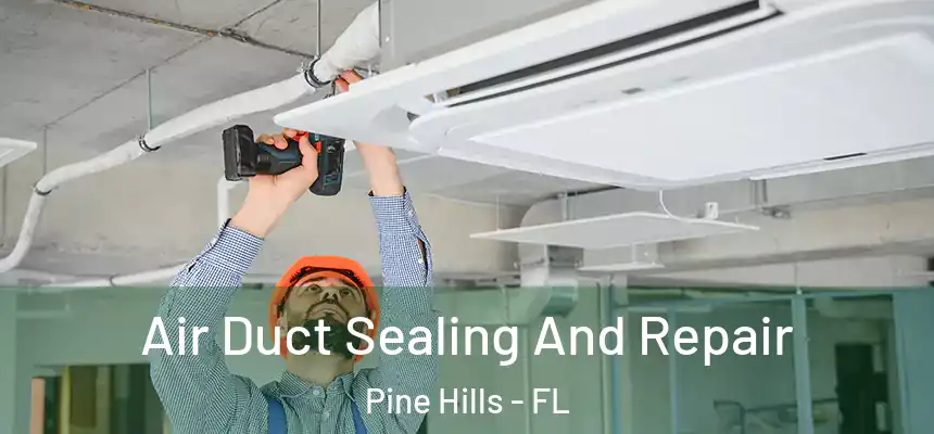 Air Duct Sealing And Repair Pine Hills - FL