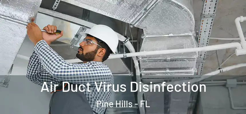 Air Duct Virus Disinfection Pine Hills - FL