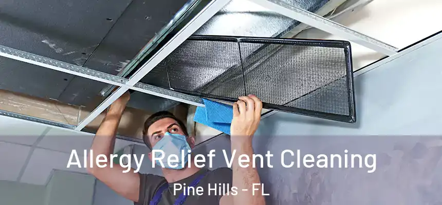 Allergy Relief Vent Cleaning Pine Hills - FL