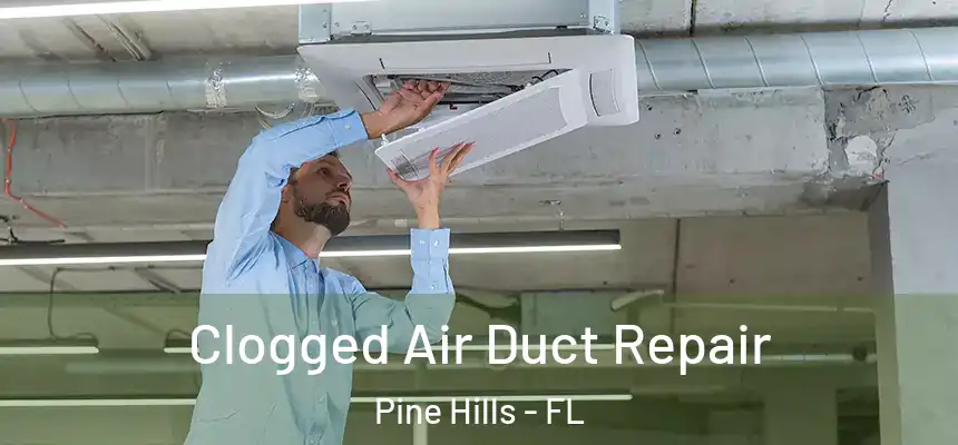 Clogged Air Duct Repair Pine Hills - FL