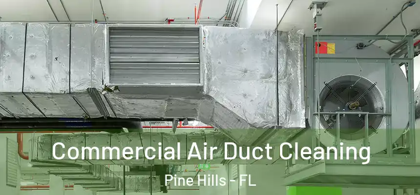 Commercial Air Duct Cleaning Pine Hills - FL