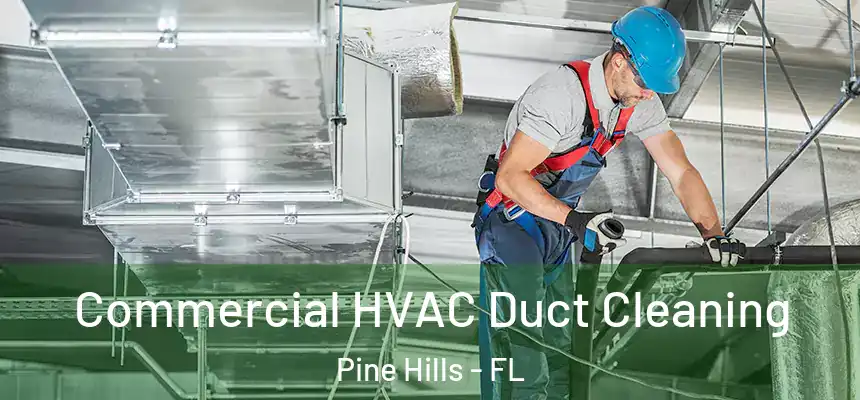 Commercial HVAC Duct Cleaning Pine Hills - FL