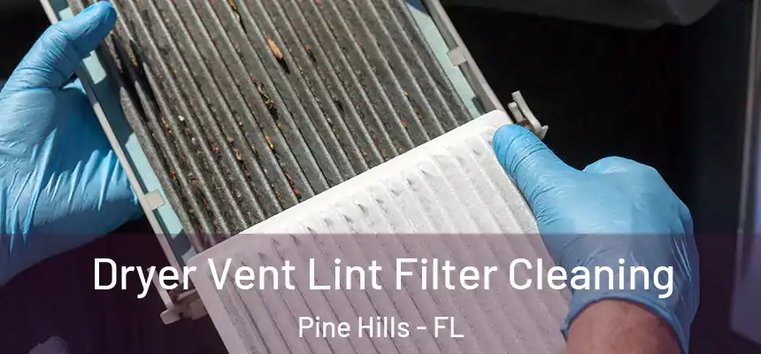 Dryer Vent Lint Filter Cleaning Pine Hills - FL