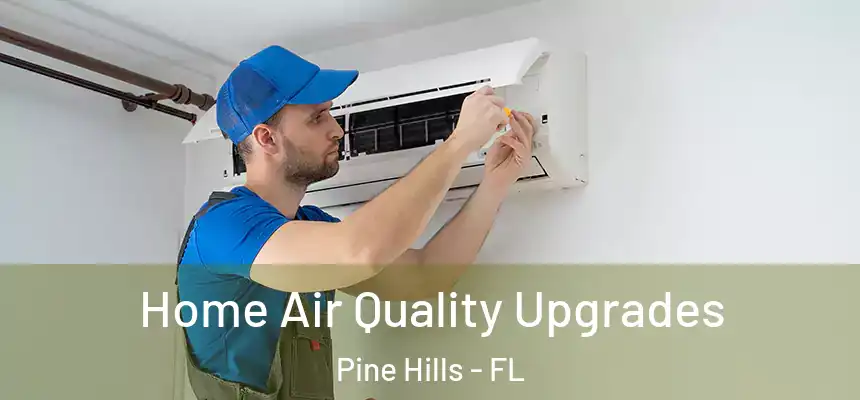 Home Air Quality Upgrades Pine Hills - FL