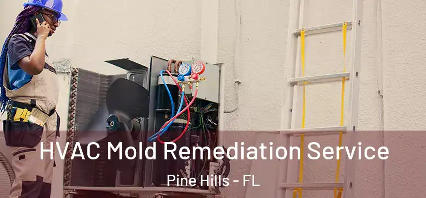 HVAC Mold Remediation Service Pine Hills - FL