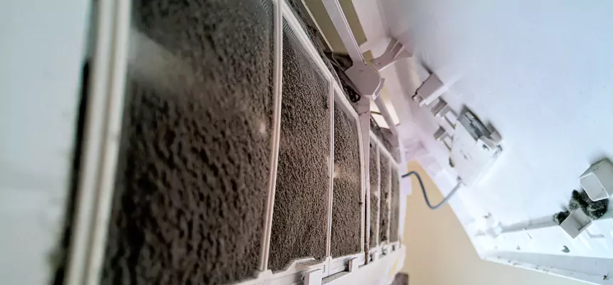 Preventive Air Duct Bacteria Removal in Pine Hills