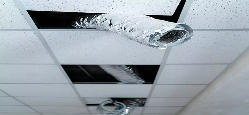 Our Air Duct Pet Hair Removal Services in Pine Hills, FL