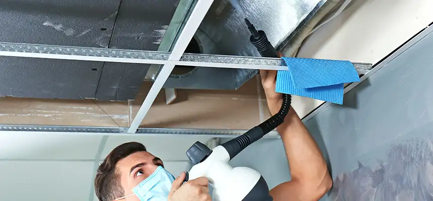 Our Air Duct Rodent Removal Services in Pine Hills, FL