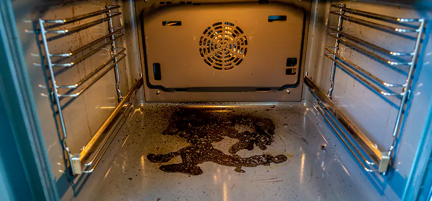 Our Dryer Vent Mold Cleaning Services in Pine Hills, FL