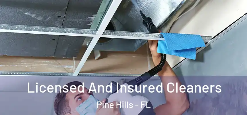 Licensed And Insured Cleaners Pine Hills - FL