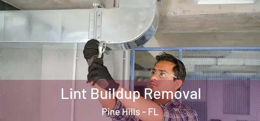 Lint Buildup Removal Pine Hills - FL