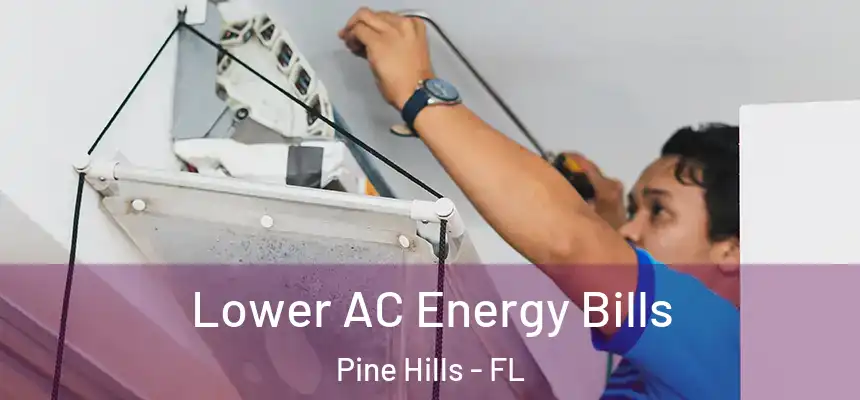 Lower AC Energy Bills Pine Hills - FL