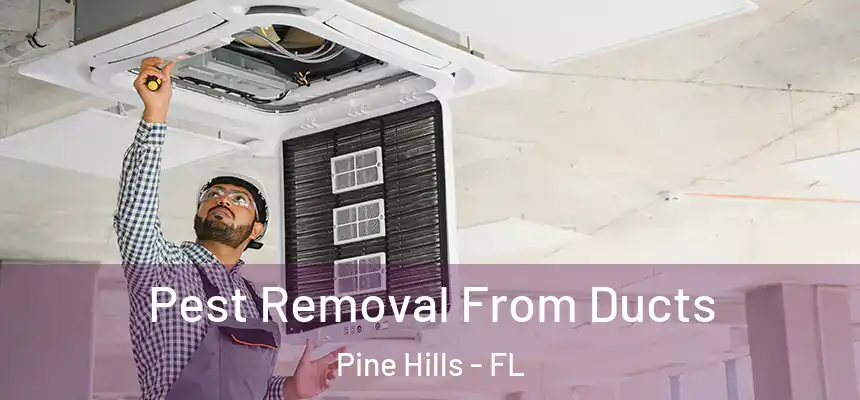 Pest Removal From Ducts Pine Hills - FL