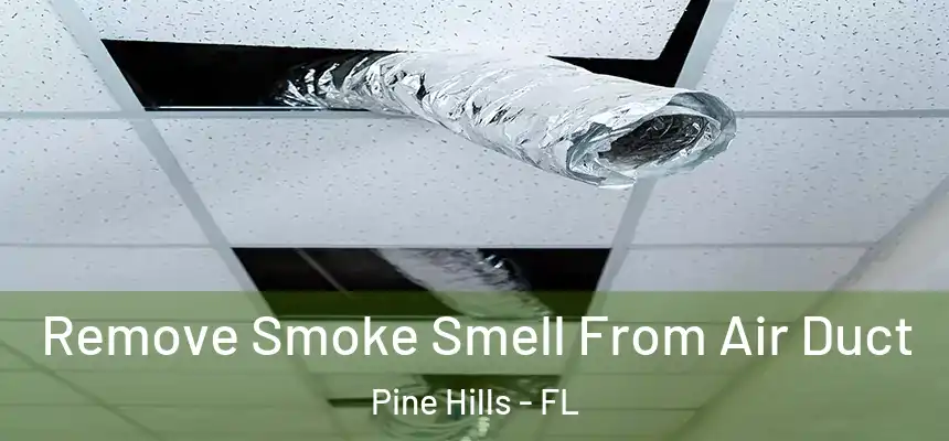 Remove Smoke Smell From Air Duct Pine Hills - FL