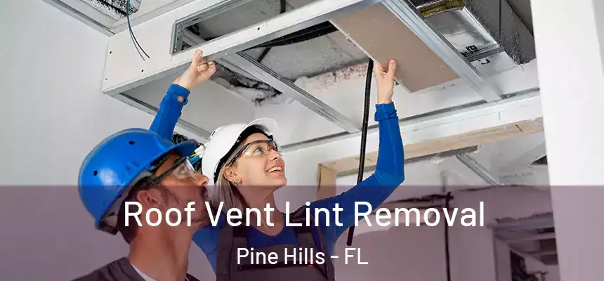 Roof Vent Lint Removal Pine Hills - FL