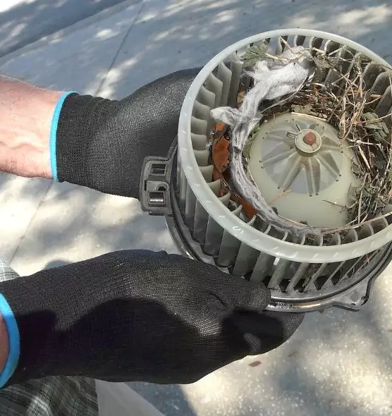 About Air Duct Rat Removal in Pine Hills, FL