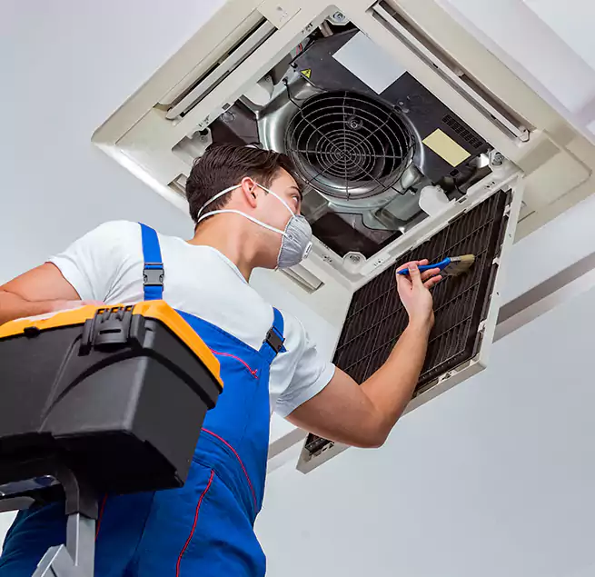 Why Homeowners & Businesses Trust Us in Pine Hills, FL