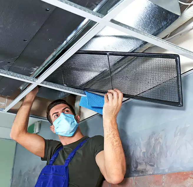 Why Homeowners Businesses Trust Us in Pine Hills, FL